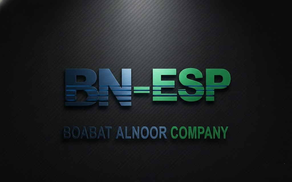 BN-ESP Logo